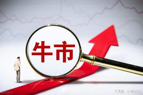 知識(shí)產(chǎn)權(quán)保護(hù)概念股蓄勢(shì)待發(fā) 政策風(fēng)口下，龍頭引領(lǐng)行業(yè)機(jī)遇